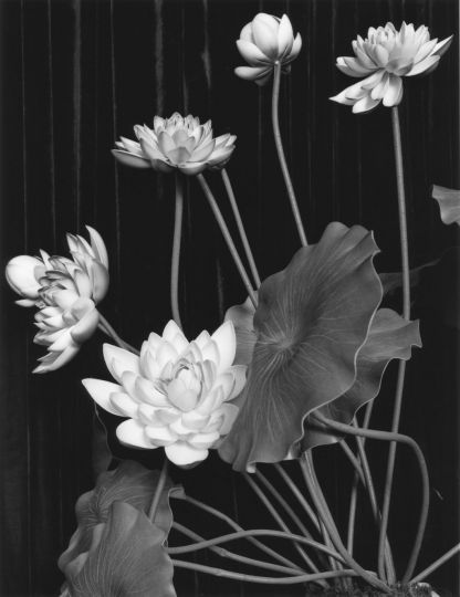 Monastère, Sanhuangzhai, Songshan, Henan, Chine, 2014