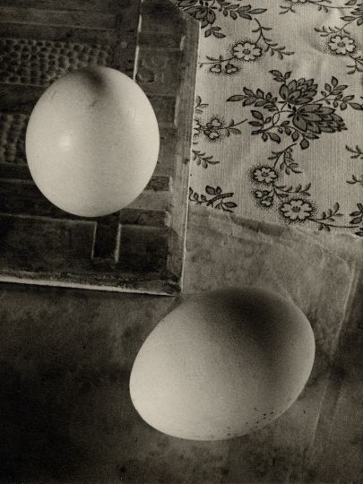 ringl + pit (Grete Stern and Ellen Auerbach), Egg on End, 1930, copyright Estate of Ellen Auerbach and Estate of Grete Stern