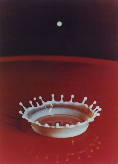 Harold Edgerton, Milk Drop Coronet, 1957, copyright Estate of Harold Edgerton