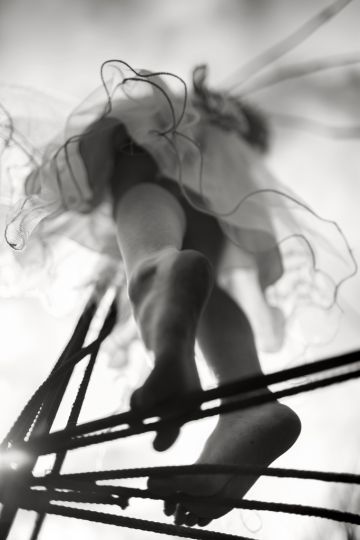 © Alain Laboile - Dragonfly, 2013 - Courtesy of 29 ARTS IN PROGRESS gallery