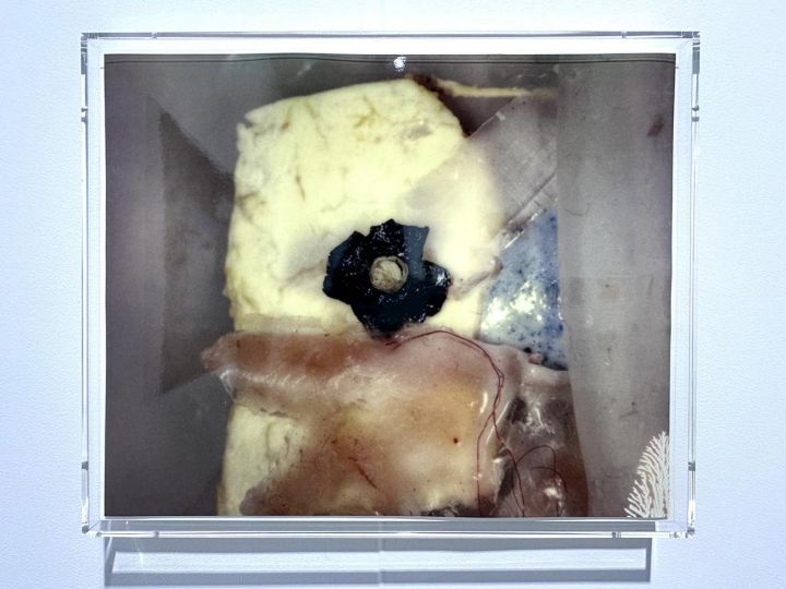 Yair Oelbaum, Untitled (citric repository), 2018, Galerie Buchholz