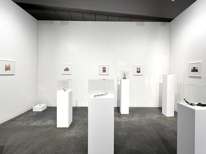 Jimena Croceri, Impossible Jewel series Installation, 2024, Piedras Galeria