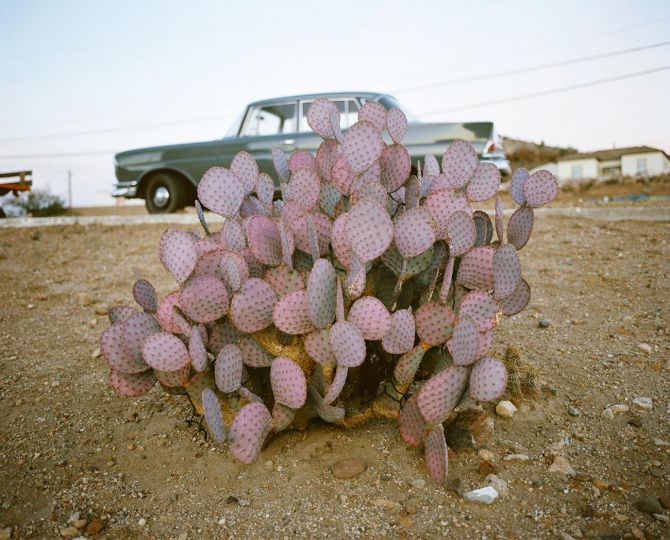 E Andy Devine Avenue, Kingman, Arizona © Valerio Geraci - From the book American Eden - Courtesy Penisola Edizioni