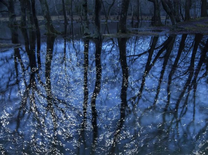 Seascapes 7, 2020 © Ellie Davies