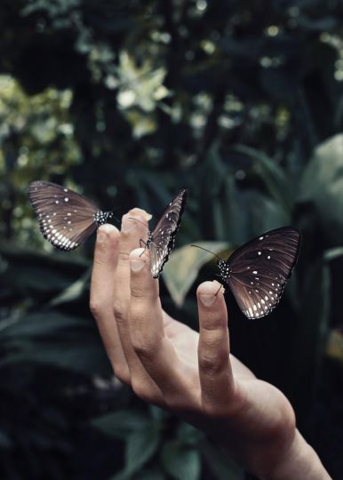 © Chloé Azzopardi