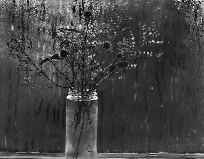 Cape Cod Window © Paul Caponigro – Courtesy of the Artist and Veritas Editions