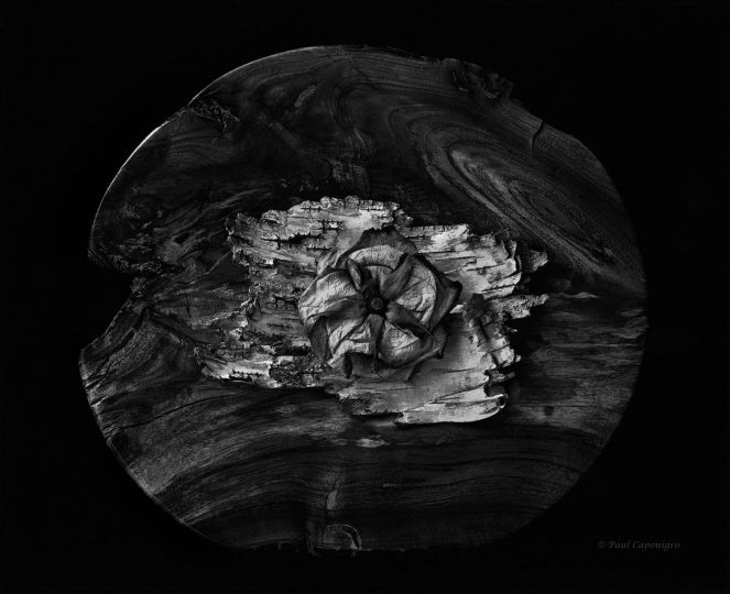 Night Sky © Paul Caponigro – Courtesy of the Artist and Veritas Editions