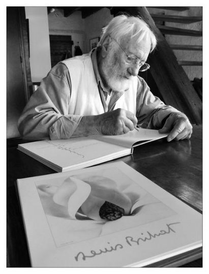 Denis Brihat © André François