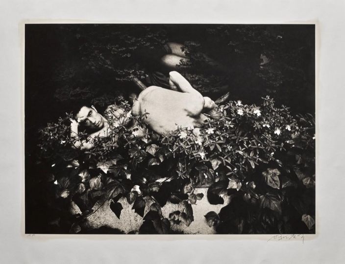 (Barakei) Ordeal by Roses © Eikō Hosoe