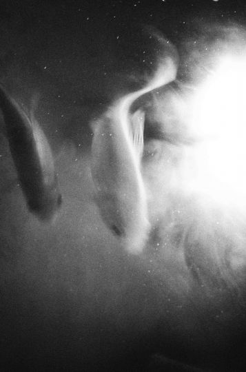 Kosmos © Fabrice Domenet