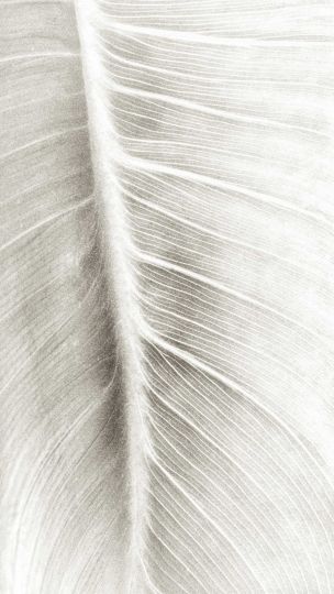 Fabrice Domenet, tirée de la série « La Peau du Monde », 2021 © Fabrice Domenet / L'Angle