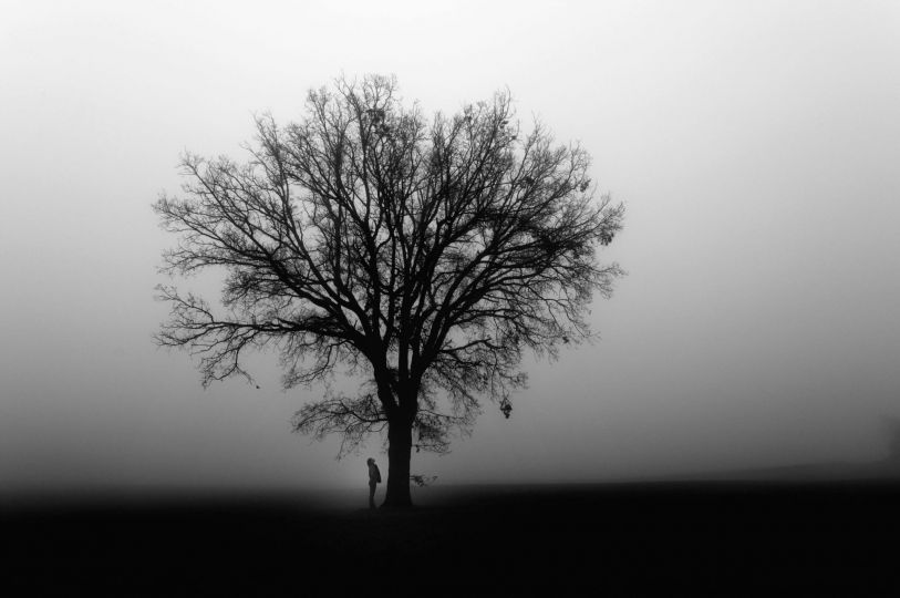 Pierre Gable, Love of the Earth, 2011 - Winner of the HIPA Grand Prize 2011