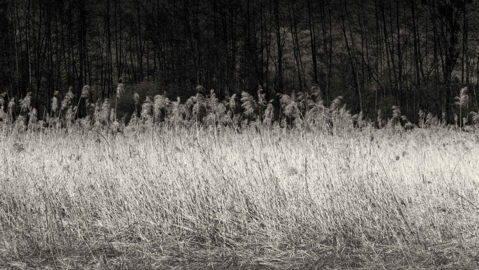 Fabrice Domenet, Metanoia, Reconfigurations © Fabrice Domenet