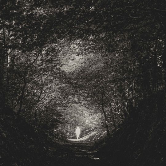 Fabrice Domenet, Metanoia, Régénération © Fabrice Domenet