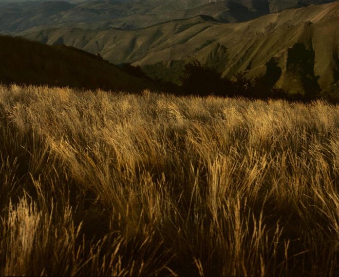  ÆNCRAGES_sans-titre © Patxi Laskarai courtesy L'ANGLE gallery