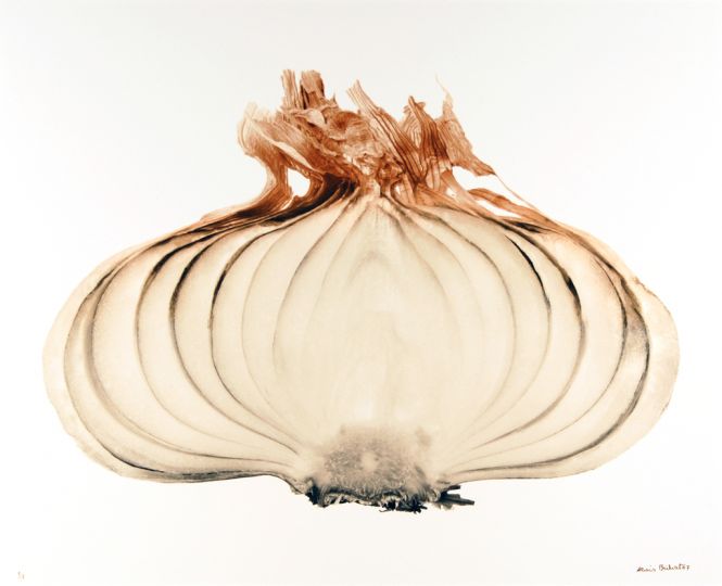 Denis Brihat, Oignon large, 2007. Tirage argentique viré à l'or 47.8 x 58.1 cm © Denis Brihat – Courtesy Camera Obscura