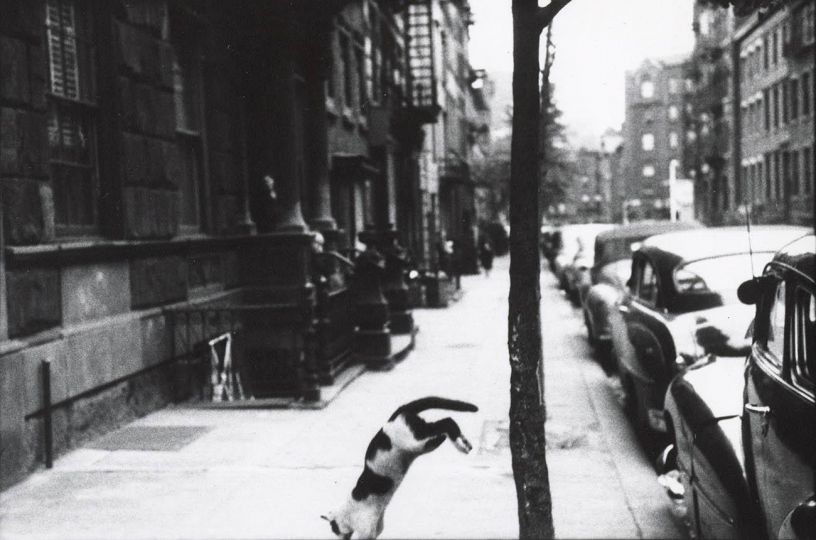 © Saul Leiter - Courtesy Gallery FIFTY ONE