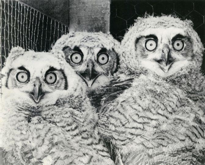 Lot 19, Philip Krum, 