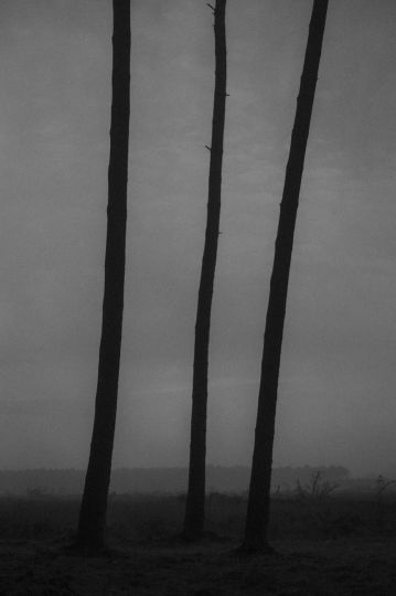 Triade ©Olivier Deck